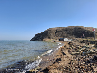 Палеонтологические приключения-2026