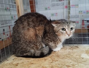 Дуся
