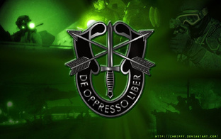 Все про спн Green berets