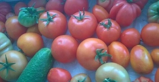 Все для сада-огорода