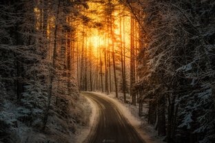 Relaxing Norwegian Nature