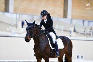 Аурелиано Буэндия 🐎