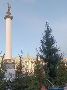 Новогоднее чудо