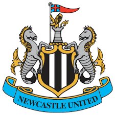 NEWCASTLE EN 2025 TODOS LOS PARTIDOS