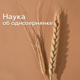 Наука об Однозернянке