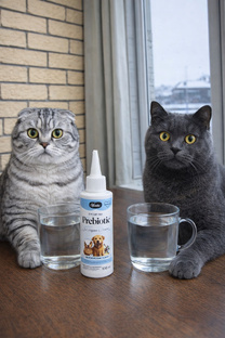 Лучший пребиотик от бренда VIVIDUS