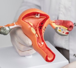 ГИНЕКОЛОГИЯ