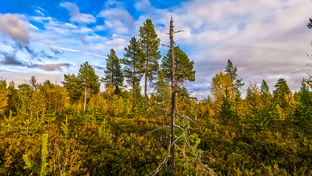 Север – это там, где я живу!