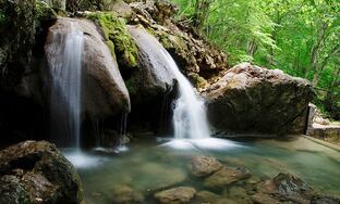 Крымская природа - уникальна и загадочна!