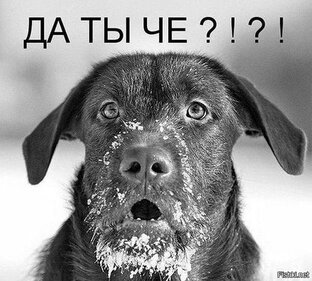 Статьи с видеоверсией
