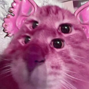 Творчество 