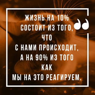О жизни