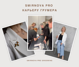 Все о карьере грумера. 
