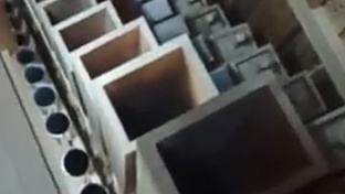 Моя органная сказка