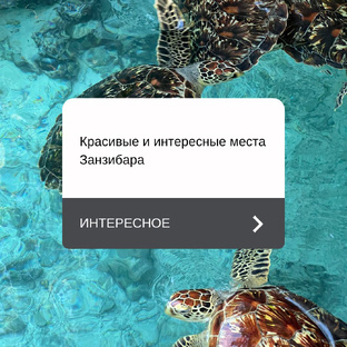 Что посмотреть? Занзибар