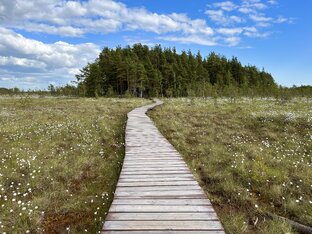 Экотропы Санкт-Петербурга и Ленинградской области