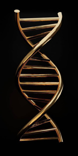 Новости криптовалют