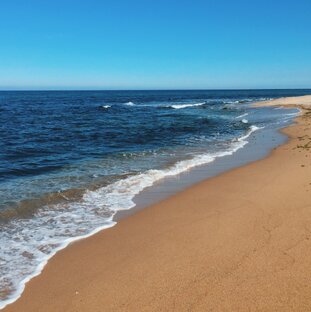 Психология