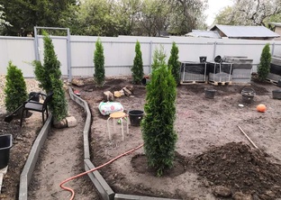 Создание сада с нуля