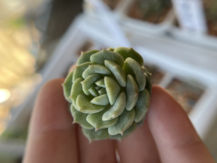 Знакомство ❤️