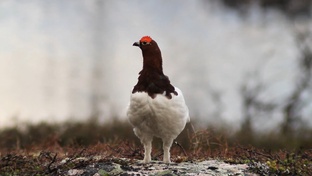 Мои наблюдения в Мурманской области