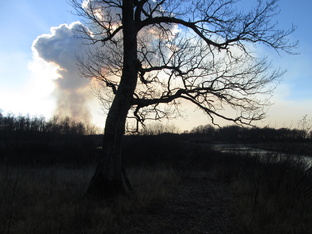 Дым от пала травы осенью.