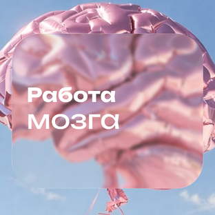 Связь мозг и тело