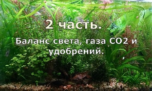 Формирование баланса газа СО2, освещения и питания растений.