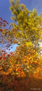 Музыка для души