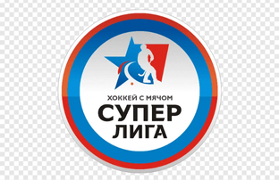 Хоккей с мячом