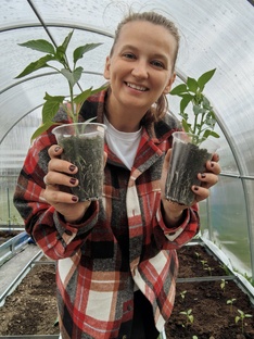 Что в теплице