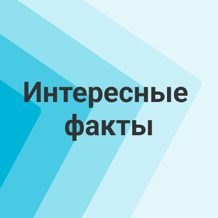 Интересные факты про иностранные языки