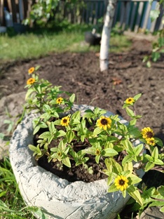 Садовые работы