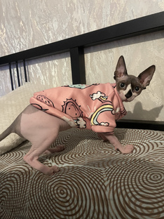 Приколы от МикиКисы 