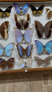 Фотореференсы и вдохновляющие видео