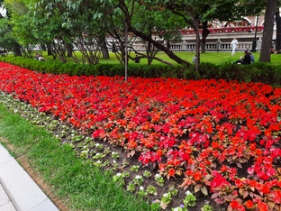 ПРОГУЛКИ ПО МОСКВЕ