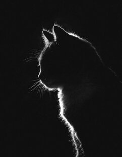 Мизинчик