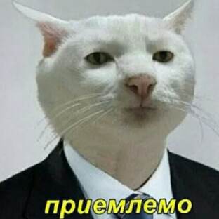 Мемы