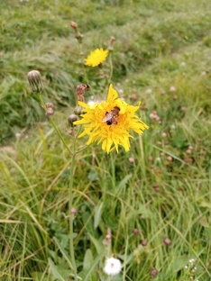  “Каждый день уникален: притчи, рассказы и рассуждения"”