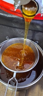 Интересные факты о мёде и продуктах пчеловодства