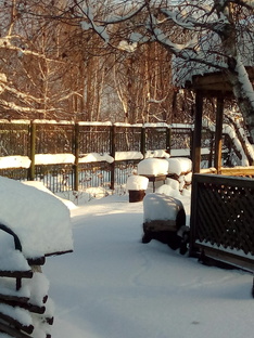 мысли вслух