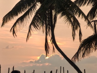 Шри-Ланка, Мирисса, декабрь 2024 г