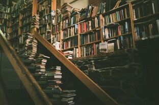 Беседы о книгах и экранизациях
