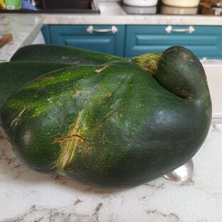 Садоводам огородникам