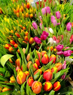 самые- самые