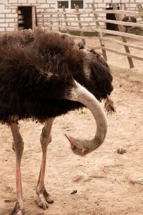 Подборки юмора!