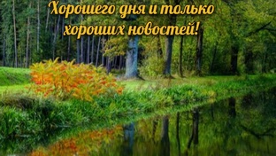 добрый день