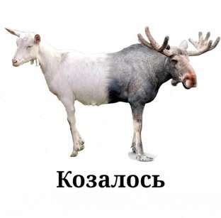 Челлендж "Как измерить жизнь за 45 дней"