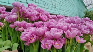 Волгоградский ботанический сад