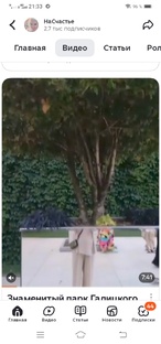 Краснодар парк Галицкого 